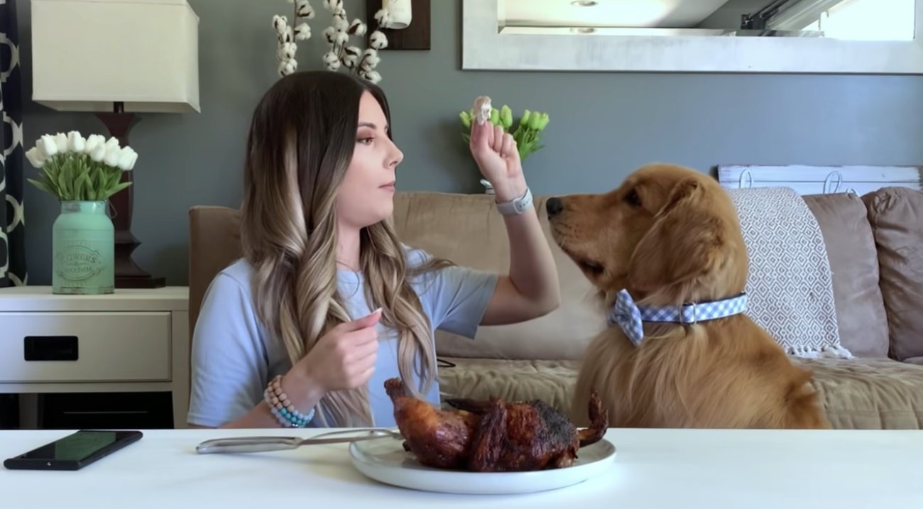 ゴールデンレトリーバー,動画