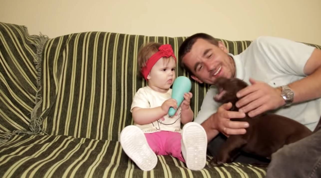 ラブラドールレトリーバー,動画