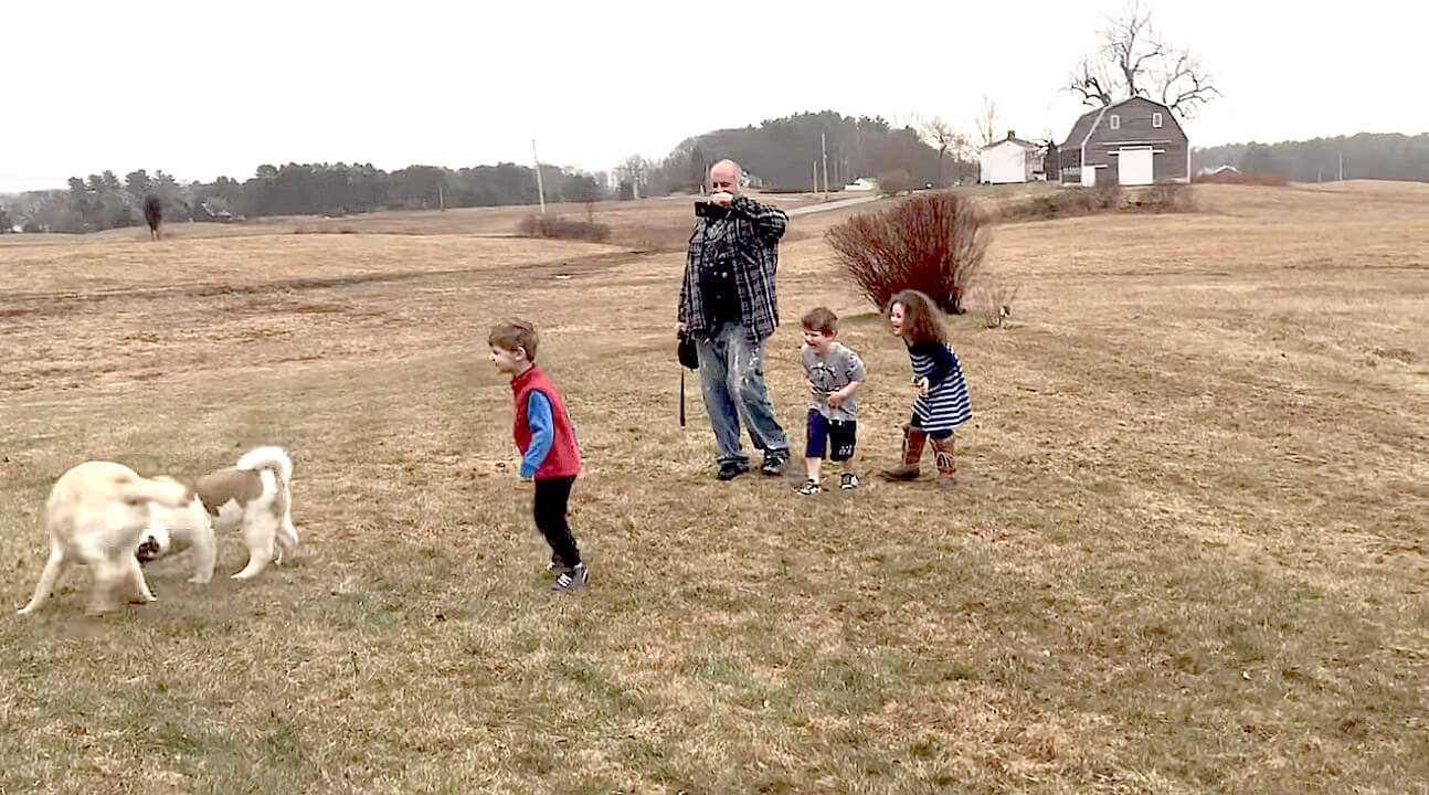 ラブラドールレトリーバー,動画