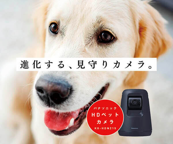 レトリーバー,パナソニック,見守りカメラ