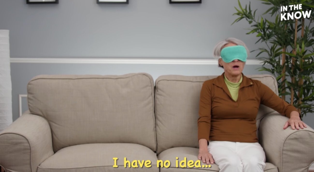 ラブラドールレトリーバー,動画