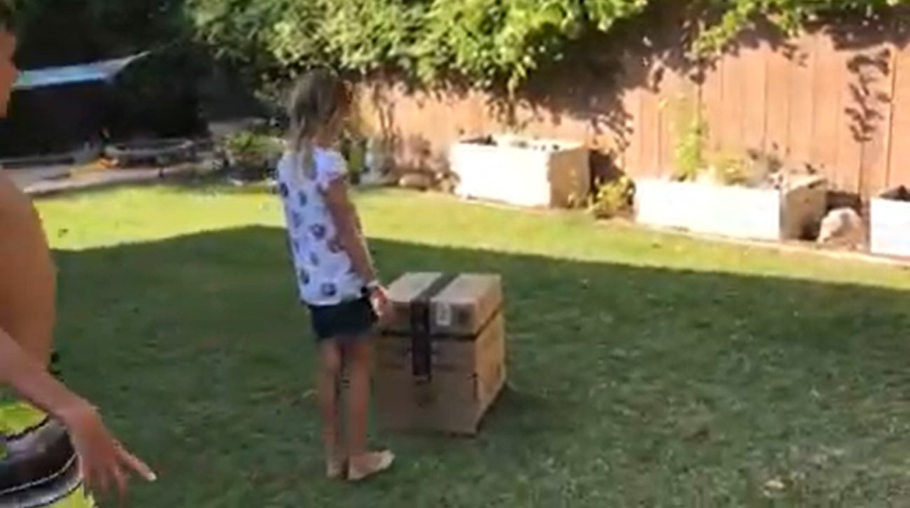 ラブラドールレトリーバー,動画