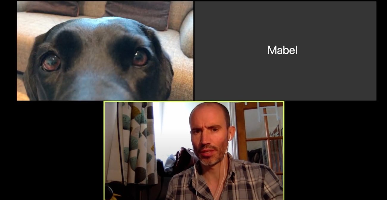 ラブラドールレトリーバー,動画