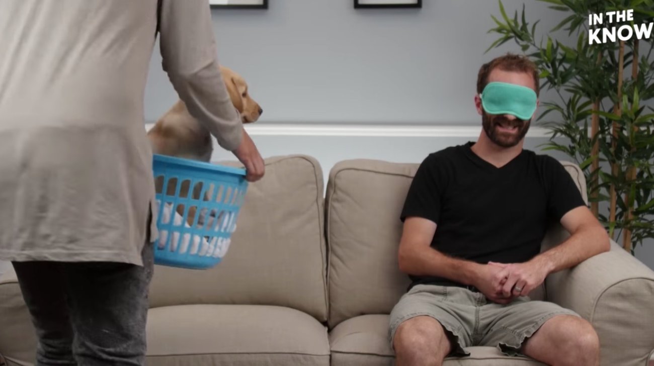 ラブラドールレトリーバー,動画