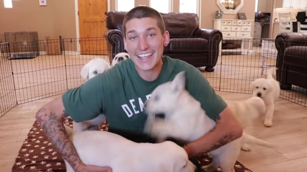 ラブラドールレトリーバー,動画