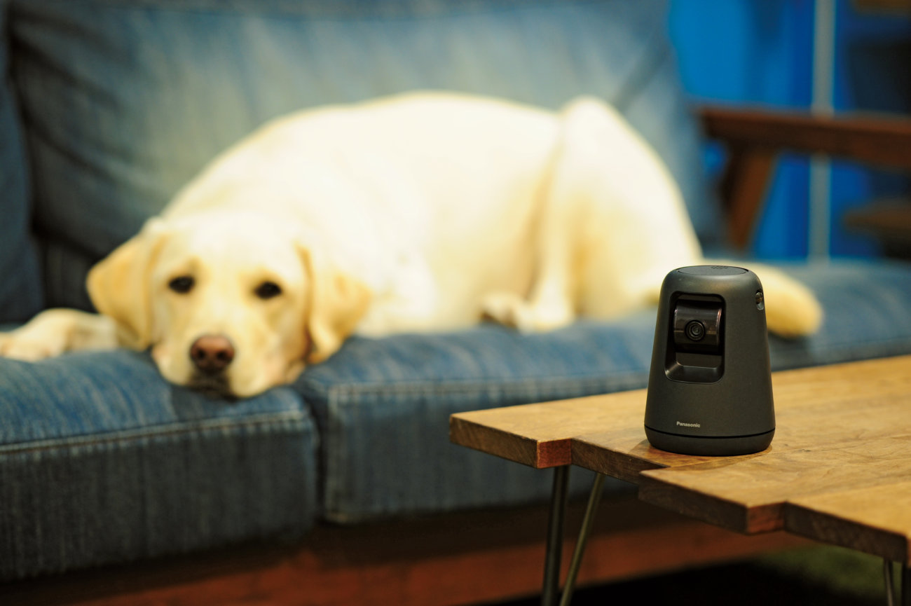 レトリーバー,パナソニック,見守りカメラ