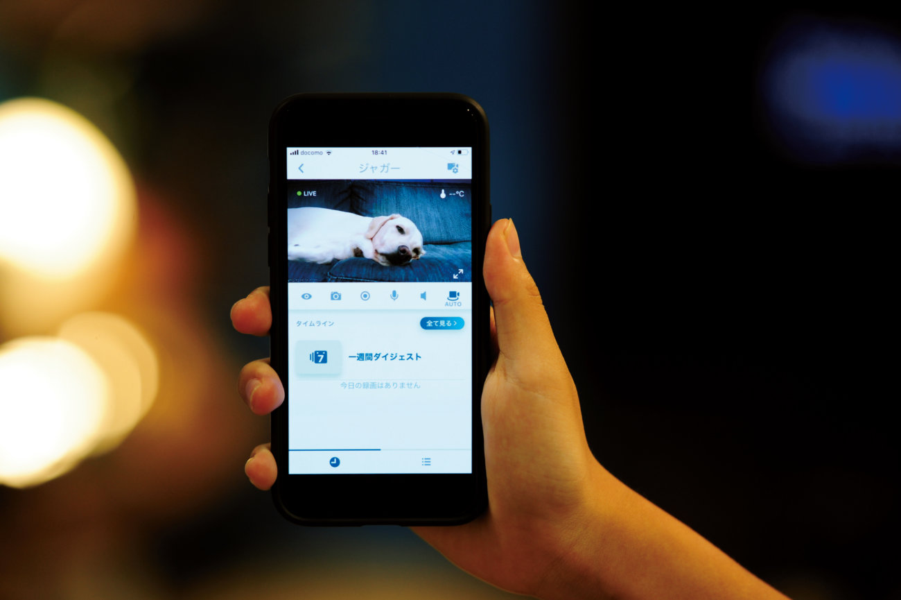 レトリーバー,パナソニック,見守りカメラ