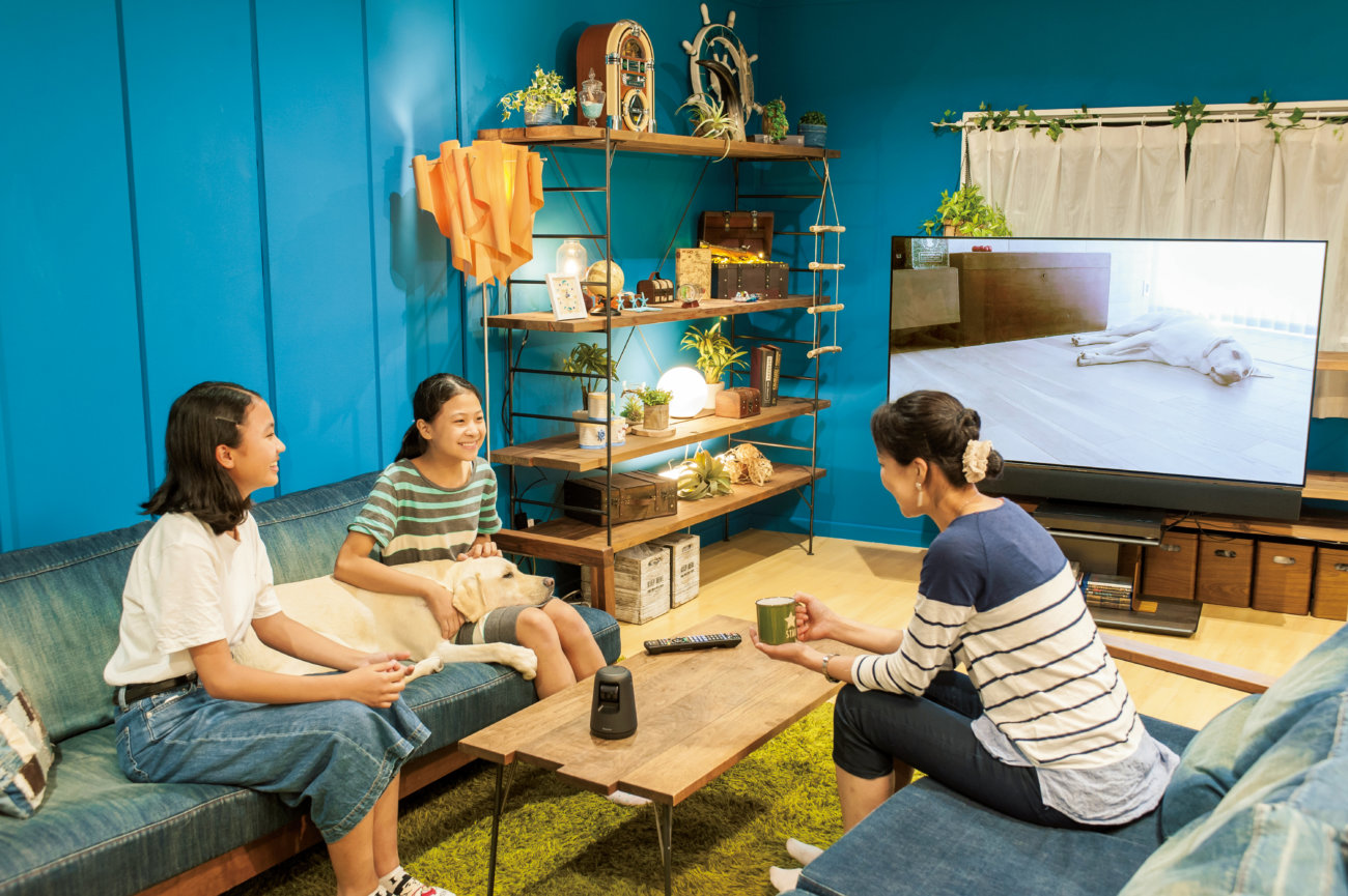 レトリーバー,パナソニック,見守りカメラ