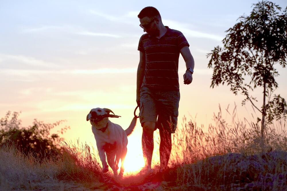 レトリーバー,マンボウやしろ