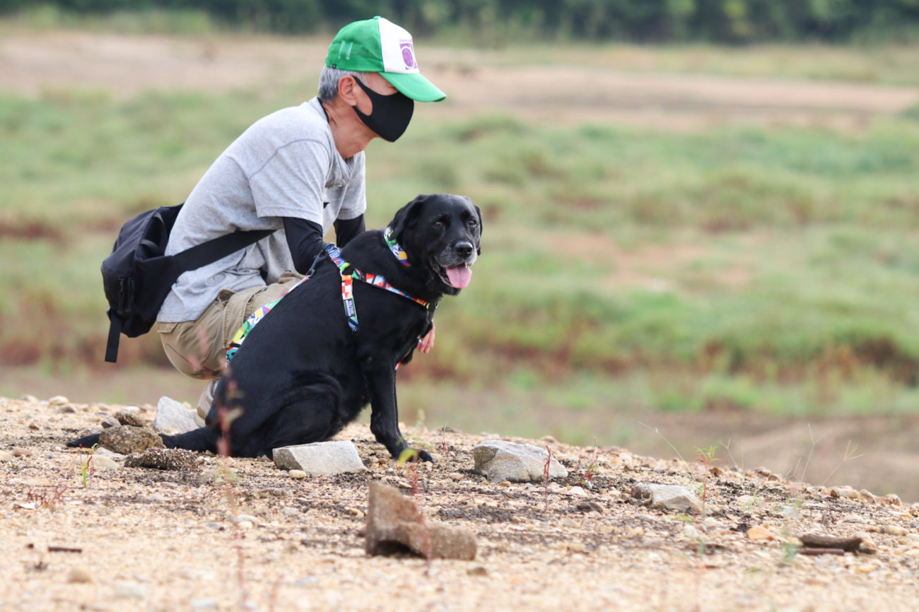 レトリーバー,ウルフギャング