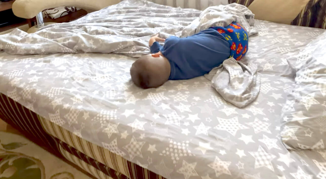 ラブラドールレトリーバー,動画