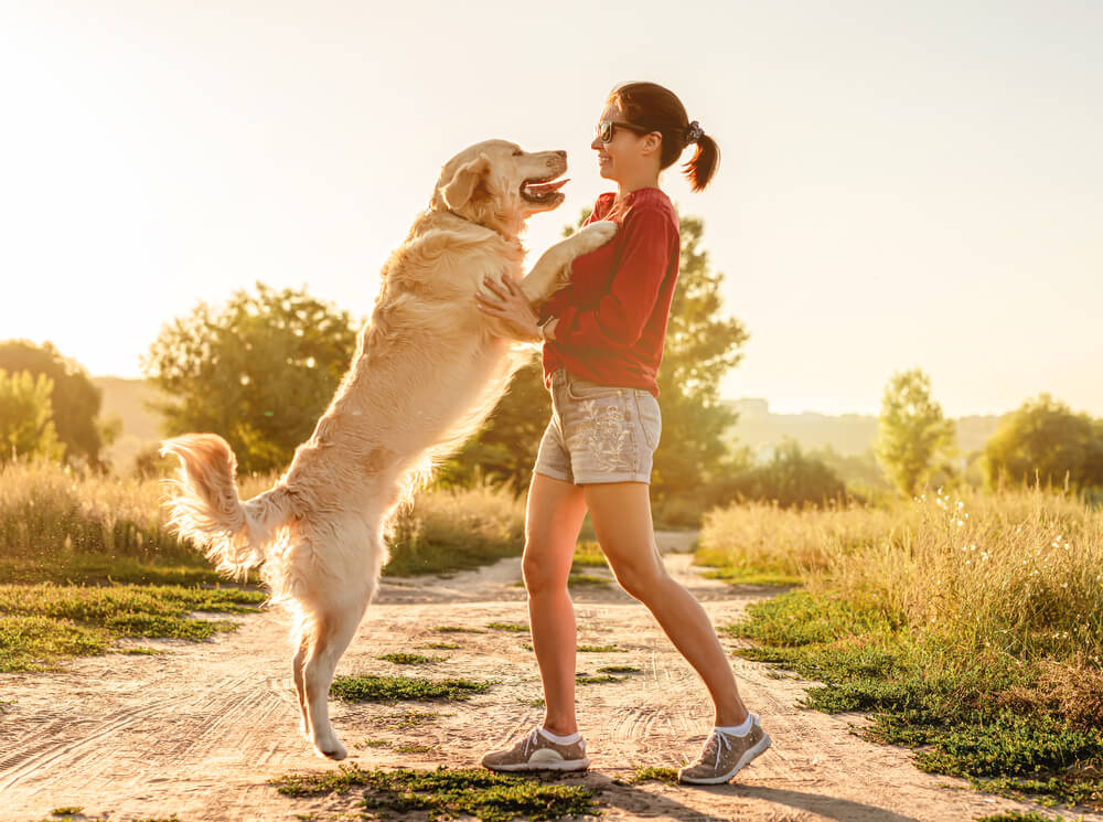 atyana Vyc/shutterstock