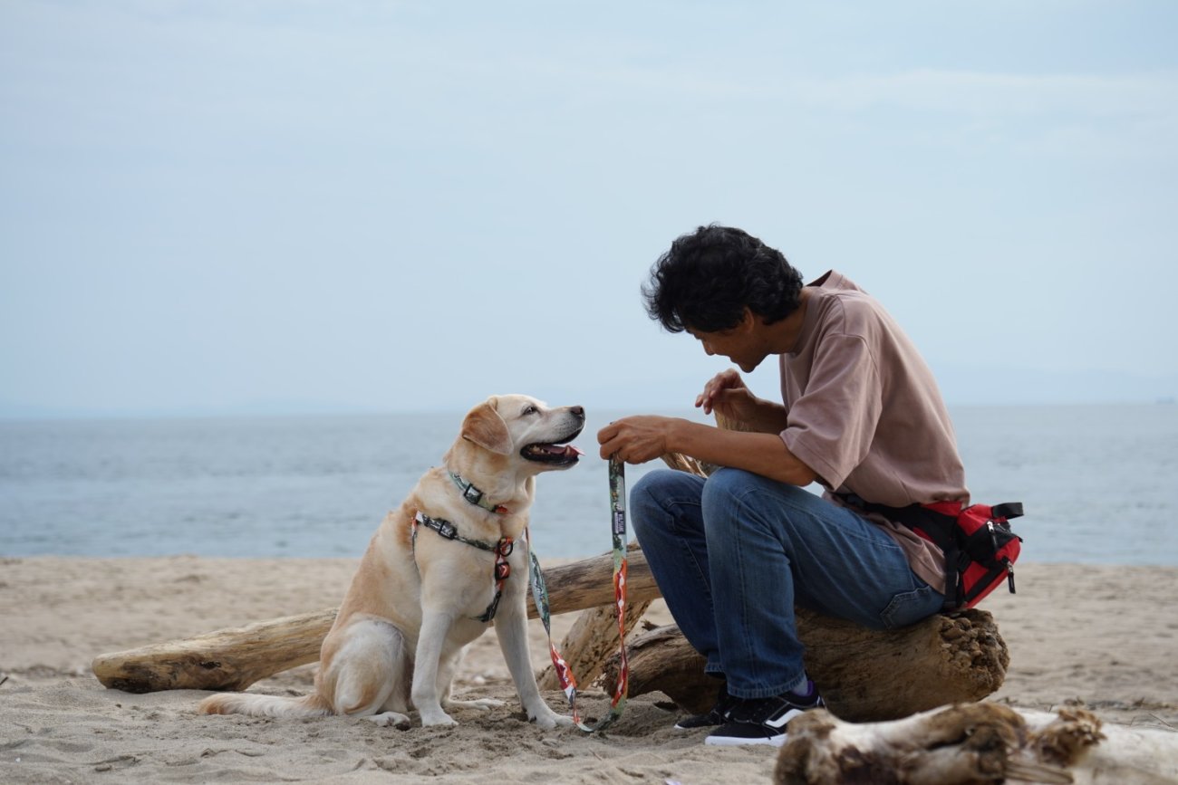 レトリーバー,ウルフギャング