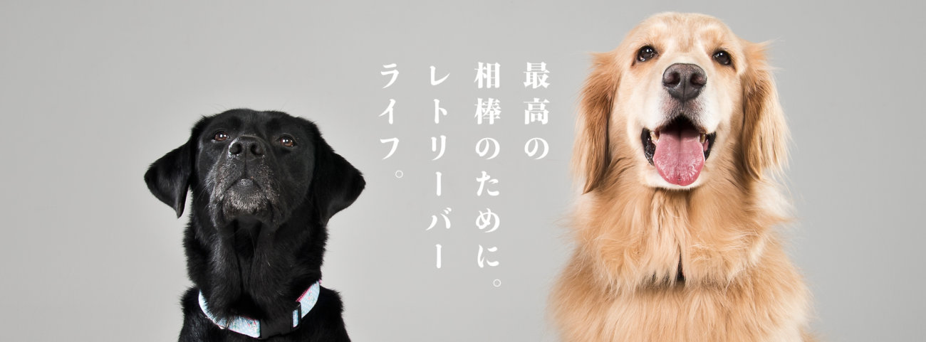 レトリーバーライフ,フード