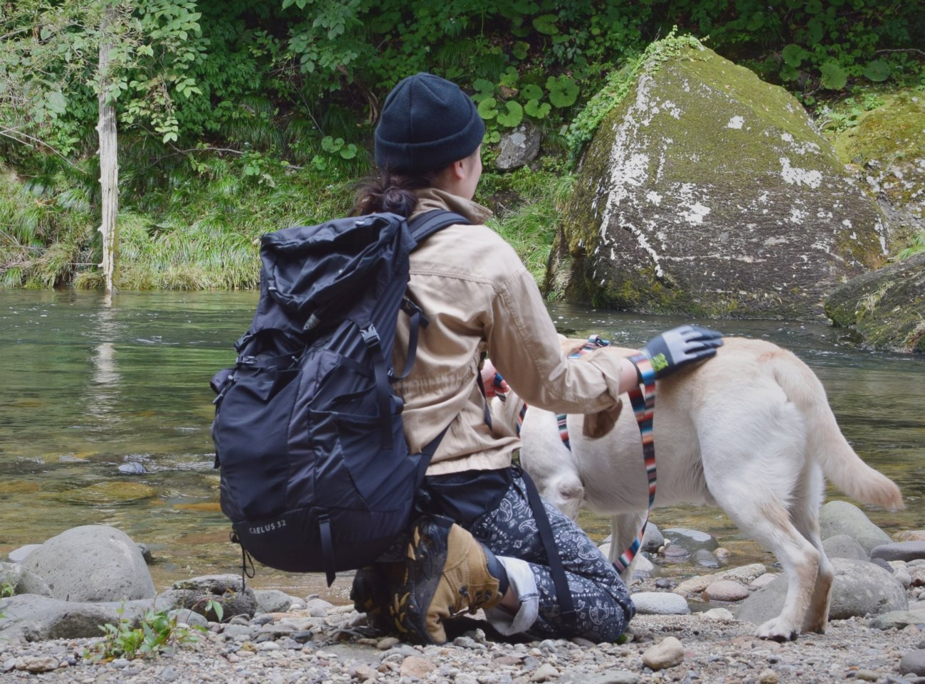 レトリーバー,ウルフギャング
