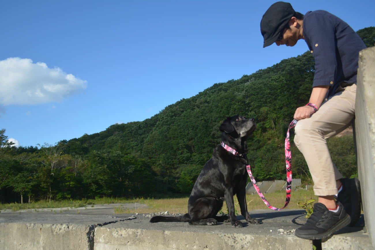 レトリーバー,ウルフギャング