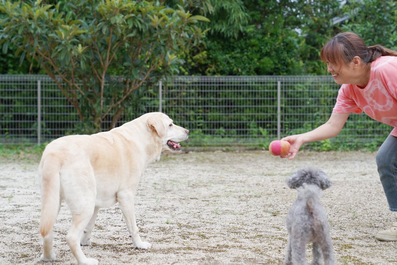 いつでも楽しく過ごせるように