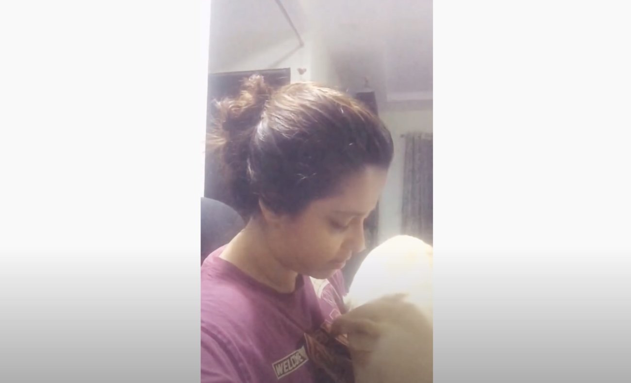 ラブラドールレトリーバー,動画