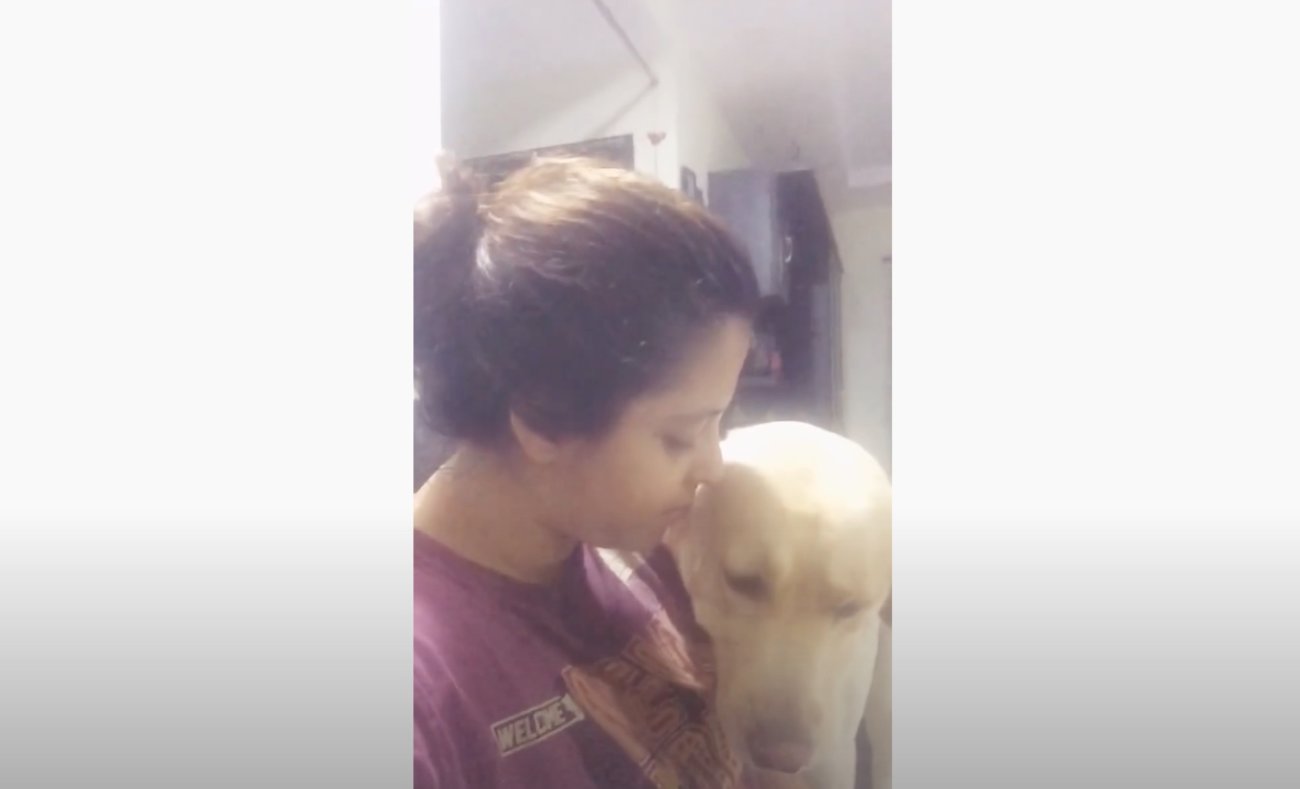 ラブラドールレトリーバー,動画