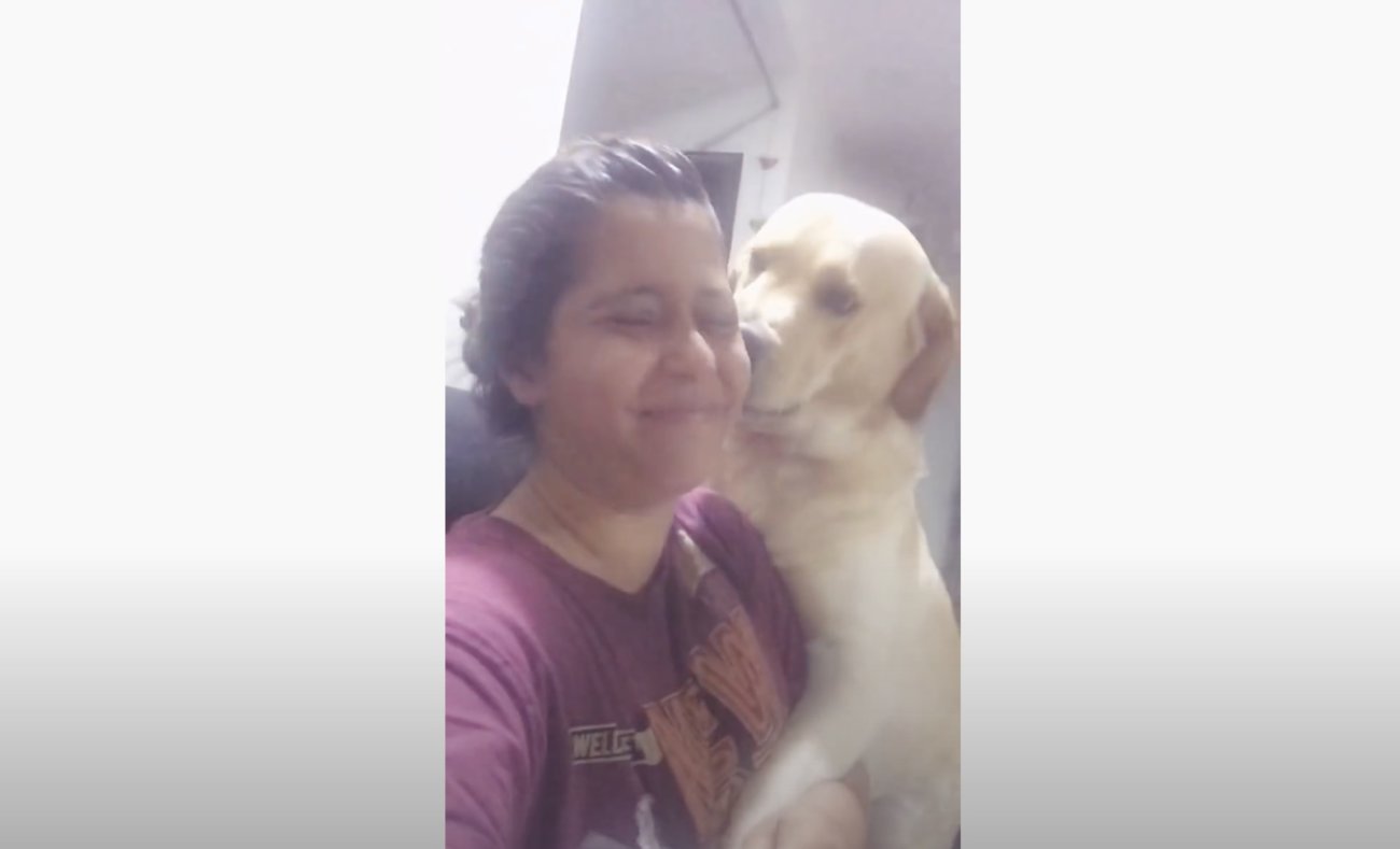 ラブラドールレトリーバー,動画