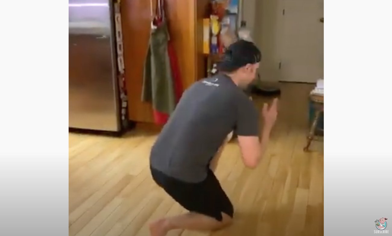 ゴールデンレトリーバー,動画