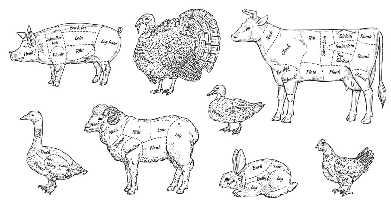 レトリーバー,フード,オリジン