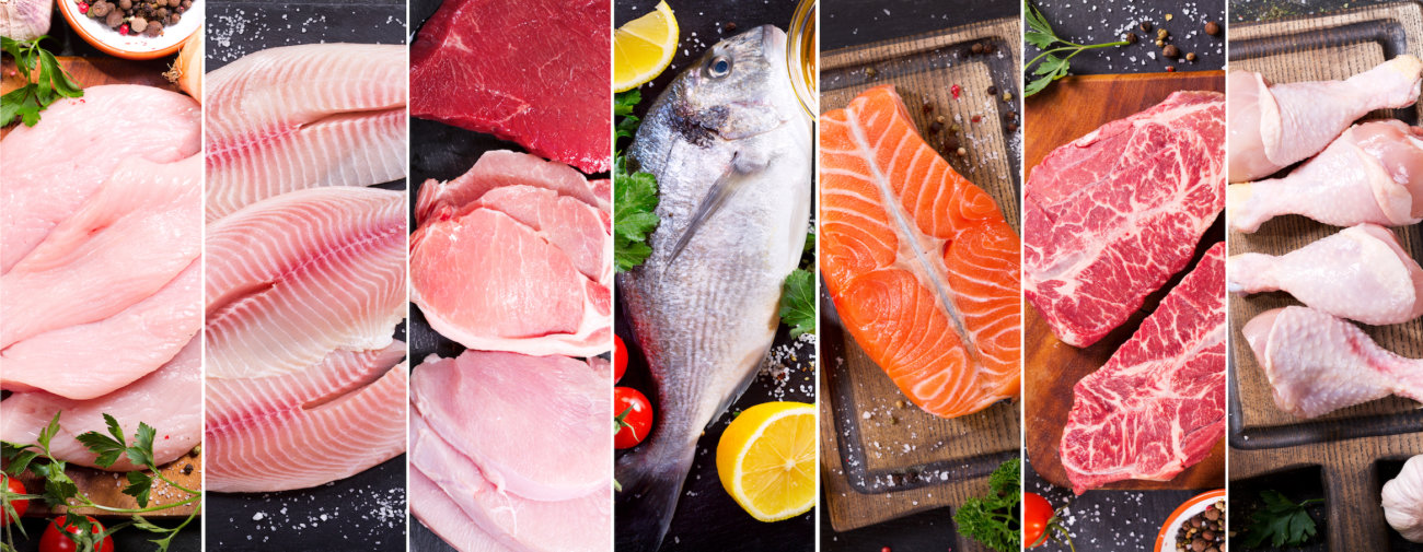 レトリーバー,フード,オリジン