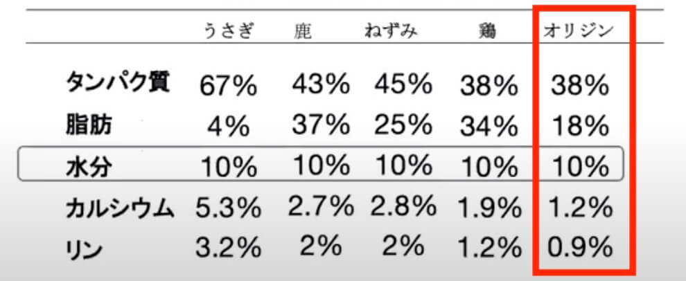 レトリーバー,フード,オリジン