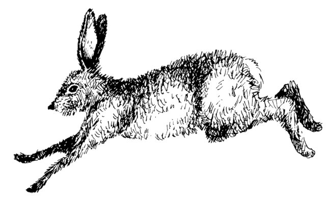 レトリーバー,フード,オリジン