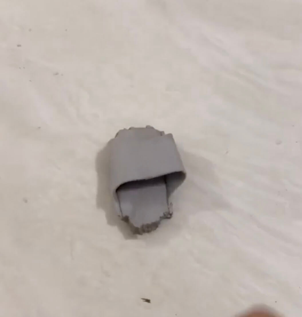 ゴールデンレトリーバー,動画