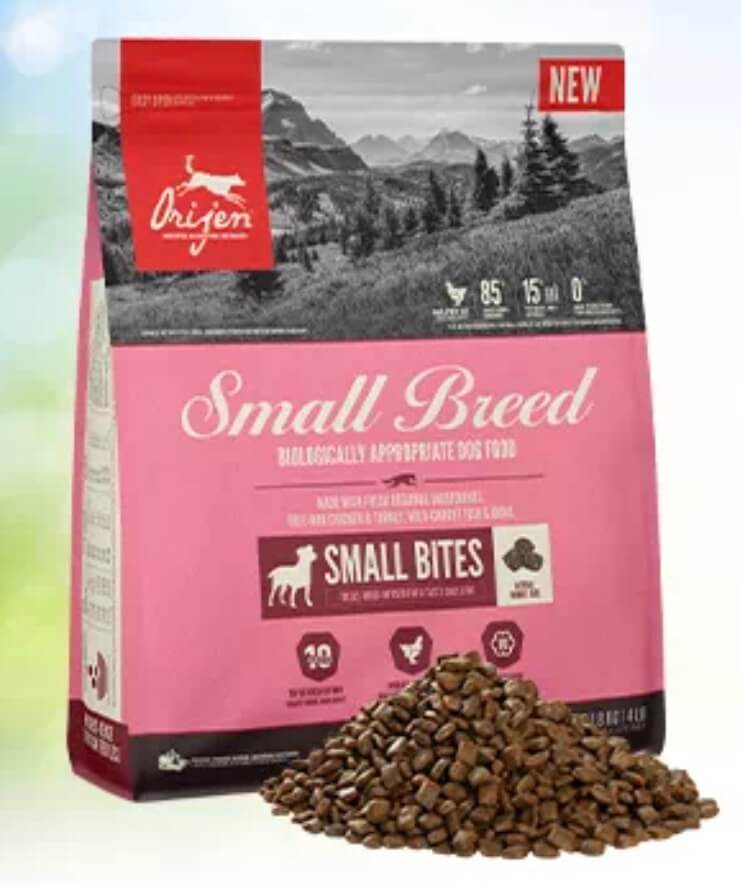 レトリーバー,フード,オリジン