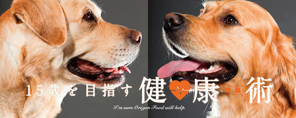 【特集】15歳を目指す健康術