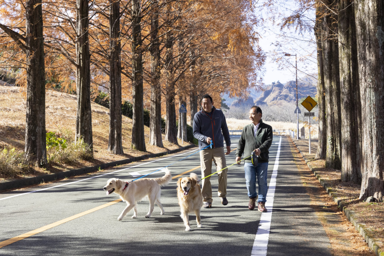 レトリーバー,伸縮リード,フレキシ