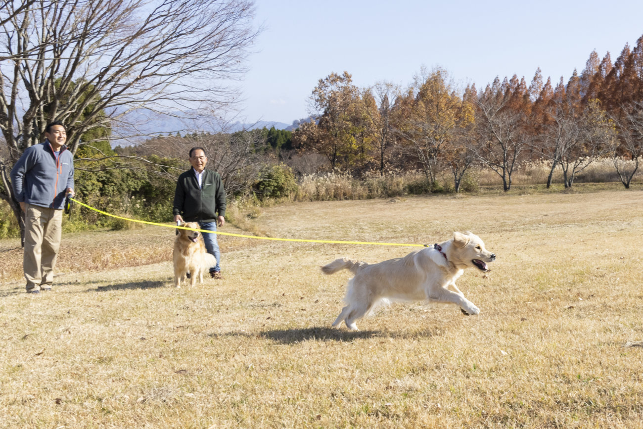 レトリーバー,伸縮リード,フレキシ