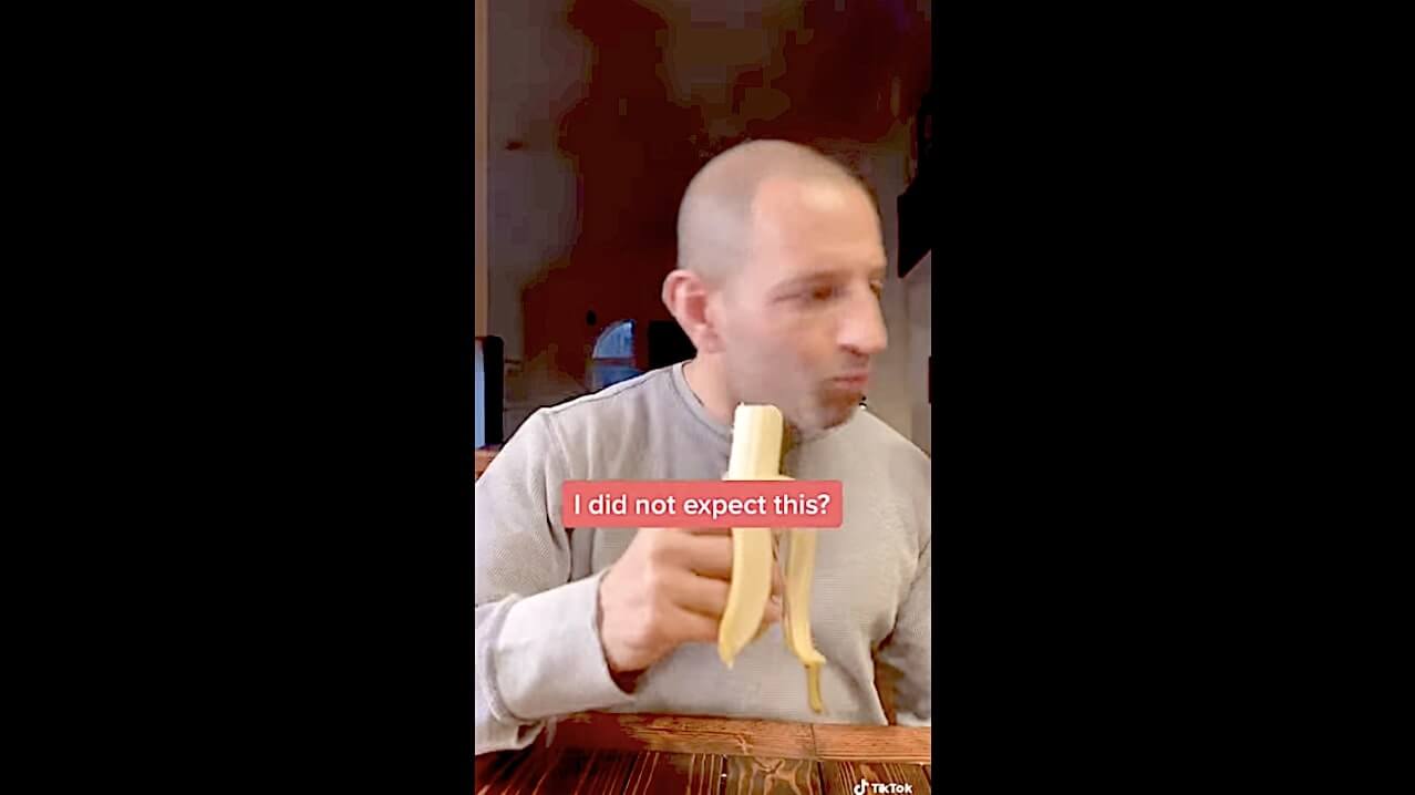 ラブラドールレトリーバー,動画