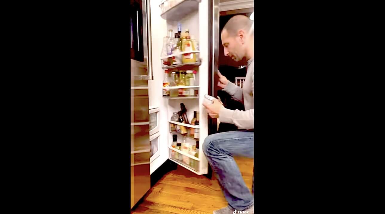 ラブラドールレトリーバー,動画