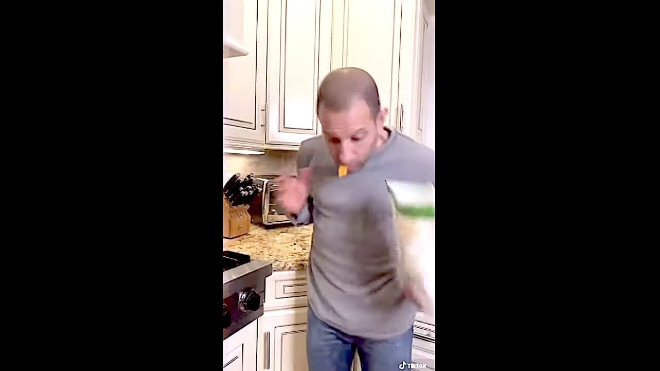 ラブラドールレトリーバー,動画