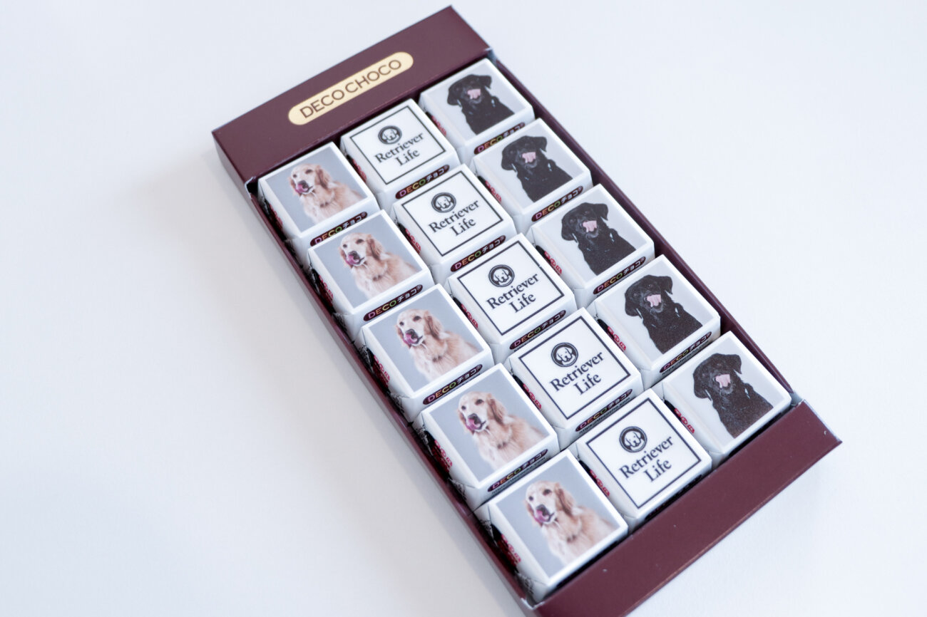 レトリーバー,デコチョコ,チロルチョコ