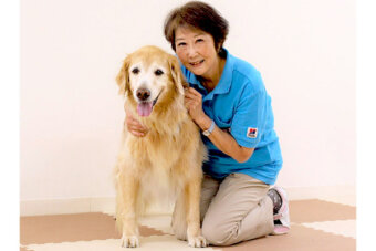 ゴールデンレトリーバー,付添犬,セラピードッグ