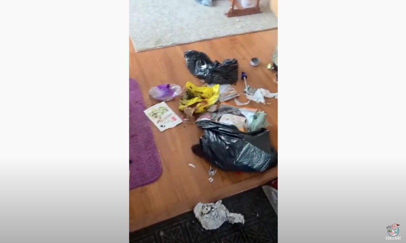 ゴールデンレトリーバー,動画