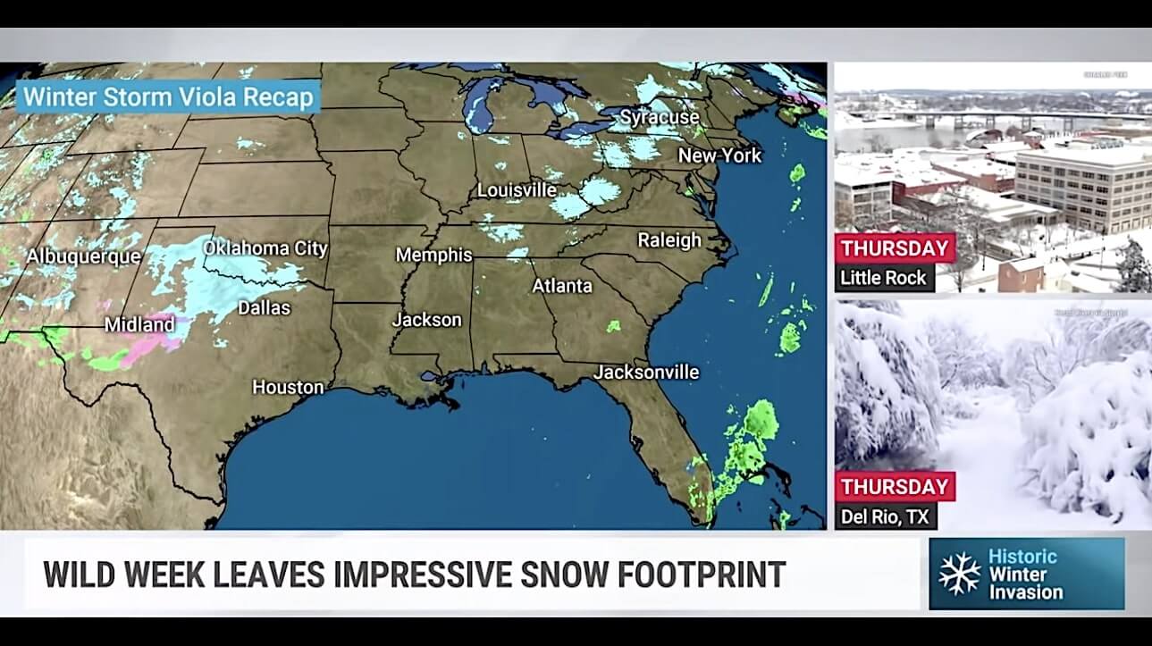 ラブラドールレトリーバー,動画