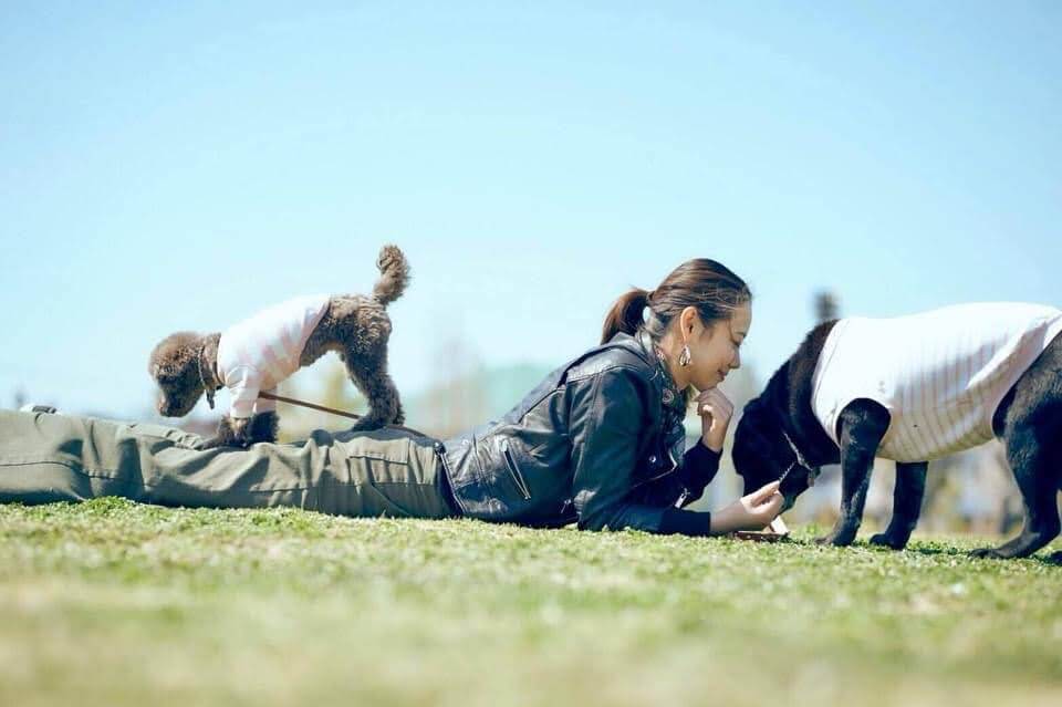 ラブラドールとその家族,トイプードル