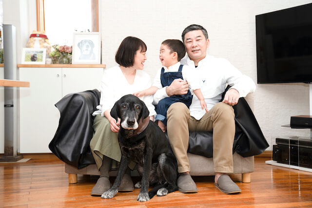 レジェンドレト,黒ラブ