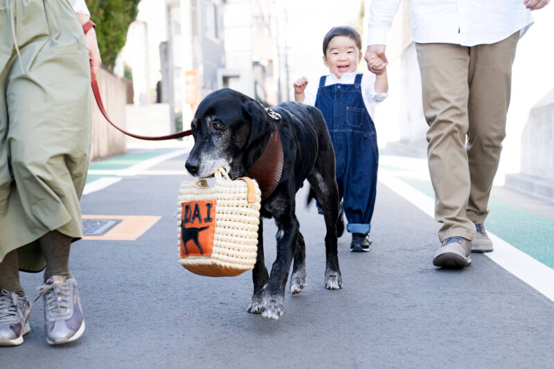 黒ラブとその家族