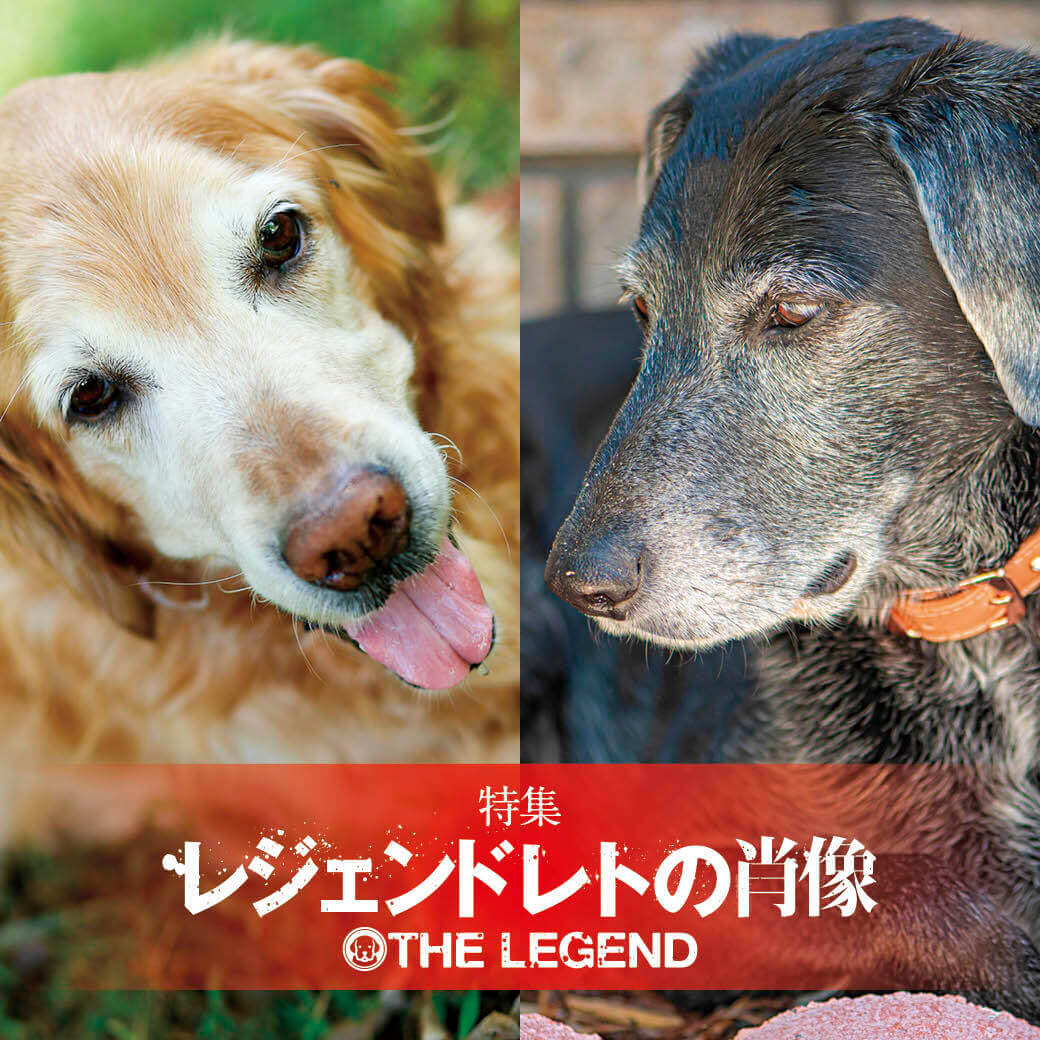 レジェンドレト