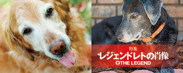 【特集】レジェンドレトの肖像ー10歳を超えて