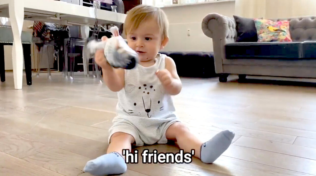 ラブラドールレトリーバー,動画