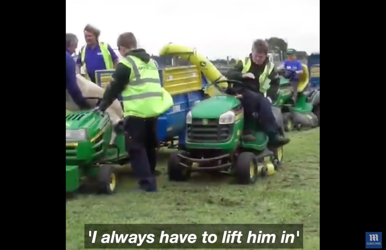 ゴールデンレトリーバー,動画