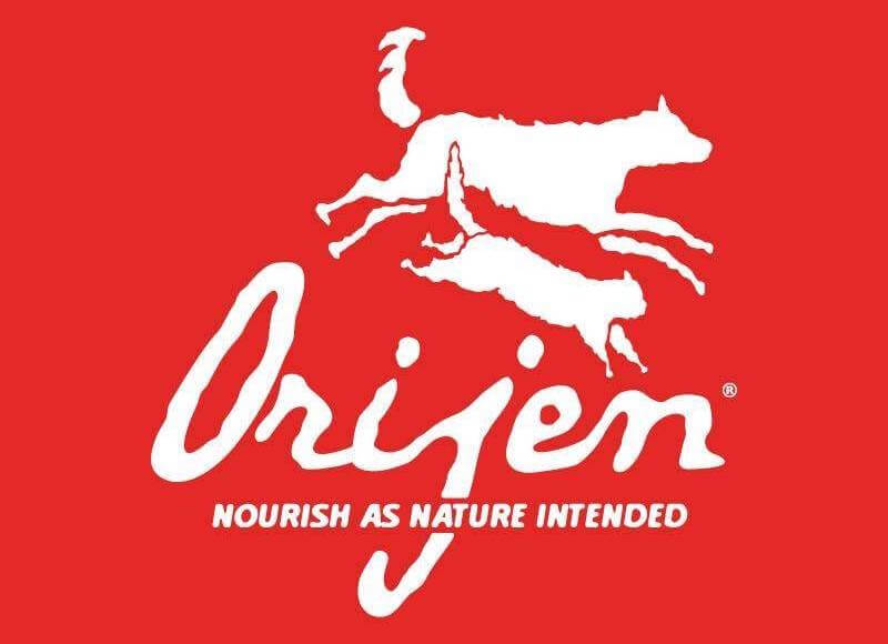 レトリーバー,フード,オリジン