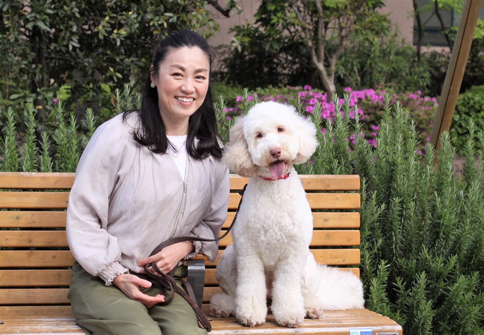 ゴルの魅力,ラブの引力,育犬,多頭飼い